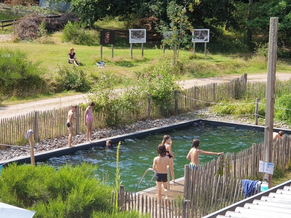 Piscine naturelle ou biologique : pour une baignade écologique