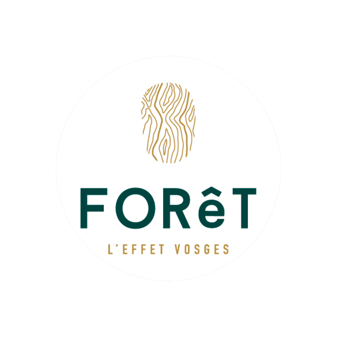 Foret-leffet-Vosges